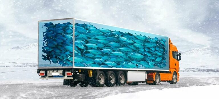 Грузоперевозки рефрижератором в Казахстане – как перевозят скоропортящиеся товары